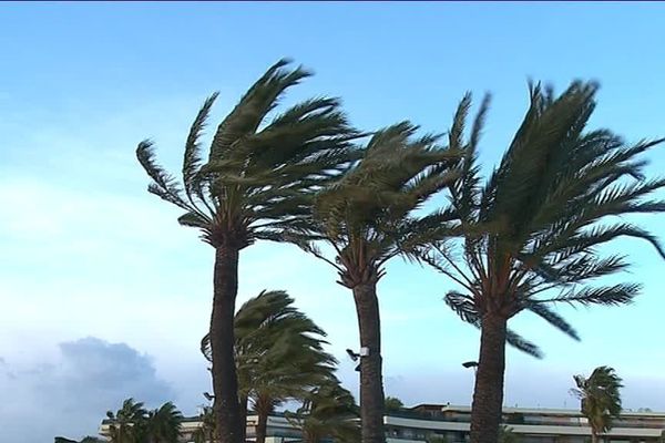 La fin du phénomène est prévue au plus tôt demain soir, 21 heures.