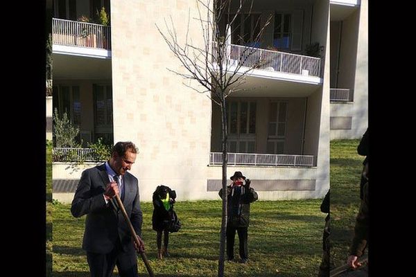 L’arbre de la laïcité planté par Vincent Feltesse, président de la CUB, le 12 décembre 2013