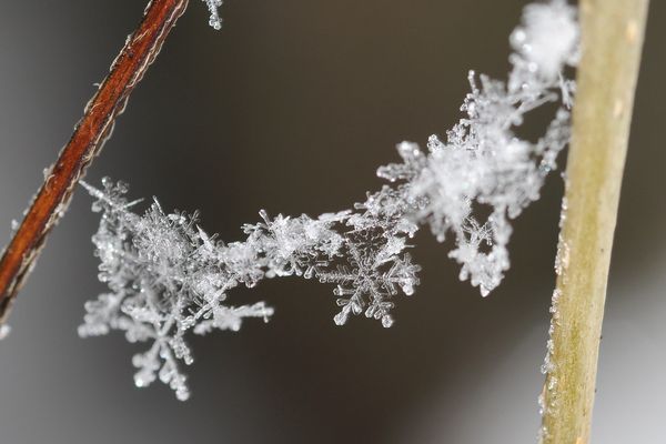 Snow crystals