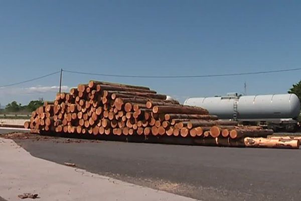 Le fret ferroviaire largement touché par la grève SNCF, ces troncs d'arbre sont bloqués à côté de ces voies ferrées depuis un mois - 28 avril 2018 