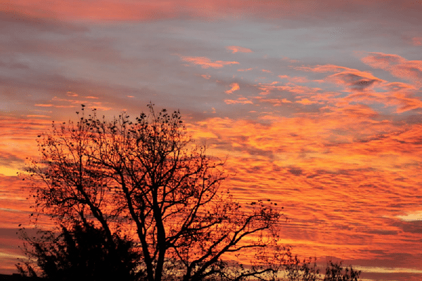 Vos photos illustrent la météo : samedi 8 novembre matin à Orchies