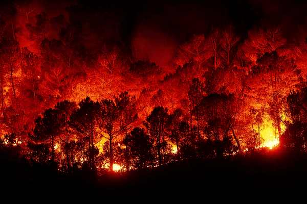 Cet été, les incendies ont aussi sévi en Pays de la Loire. Plus de 300 hectares ont été détruits en Sarthe et plus de 2000 hectares en Maine-et-Loire. Un mois plus tard, quels enseignements les sapeurs-pompiers tirent-ils de ces journées de lutte acharnée ?