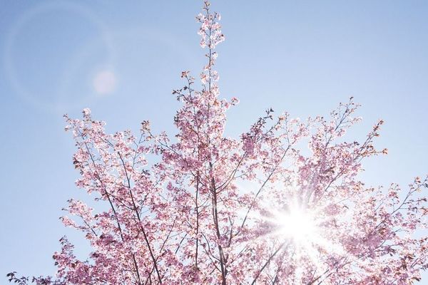 Le beau temps nous accompagne en ce début de semaine