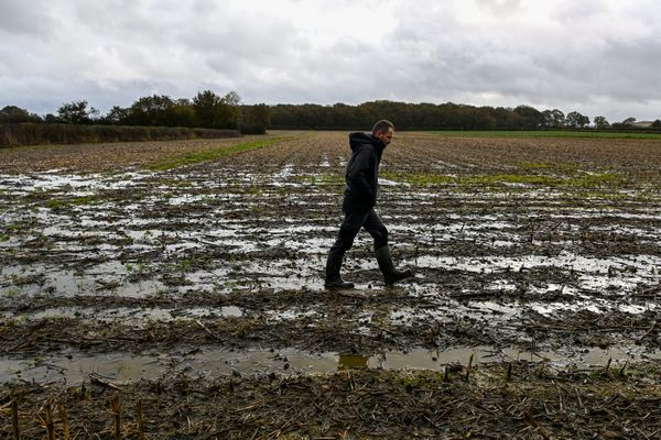 Les intempéries ont grandement bouleversé les récoltes des agriculteurs (image d'illustration).