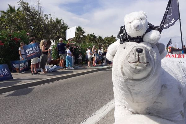 Les manifestants interpellent les automobilistes qui passent devant Marineland.