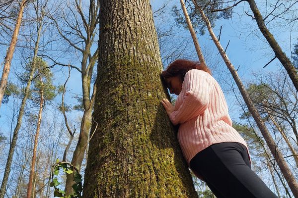 Le bain de forêt repose sur les cinq sens, en particulier le toucher.