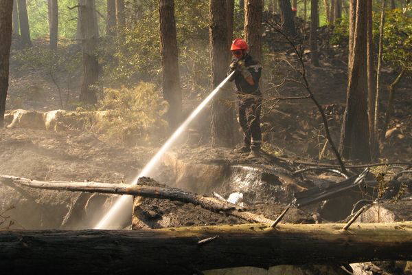 Malgré le confinement, les pompiers ont dû intervenir dans la forêt de Fontainebleau pour éteindre des feux liés à l'activité humaine. (Illustration)