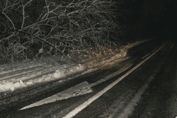 Un arbre sur la chaussée, près d'Hirson dans l'Aisne, samedi 27 décembre.