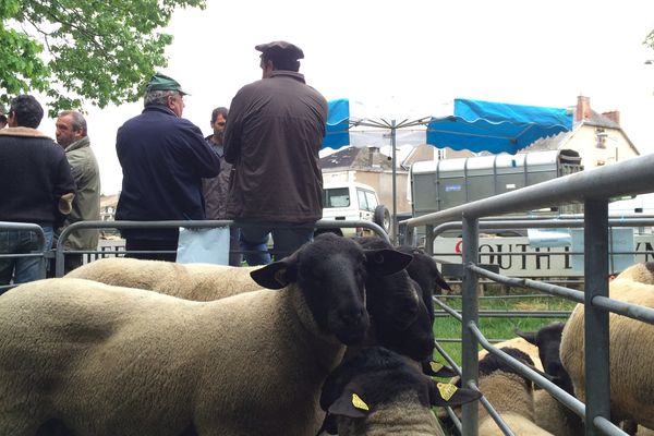 La première foire de la saison à Bellac.