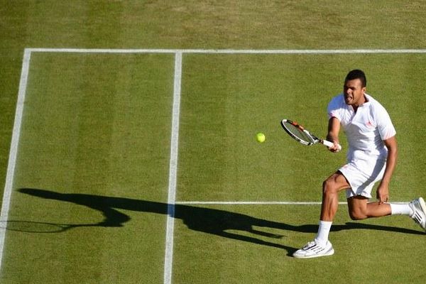 Jo-Wilfried Tsonga sur la pelouse de Wimbledon