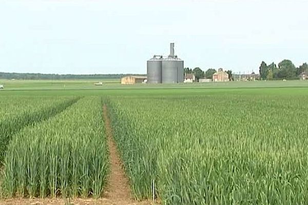 Les agriculteurs de  l'Eure sont accompagnés par des conseillers de la chambre d'agriculture pour allier rentabilité et réglementation.