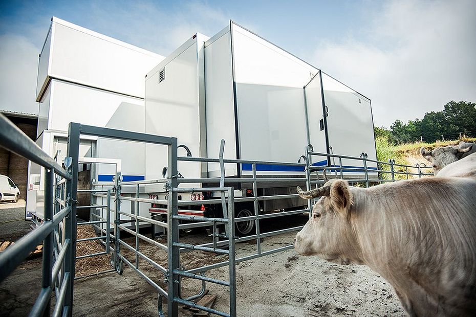 the company le Bœuf éthique, at the origin of a mobile slaughterhouse, placed in compulsory liquidation