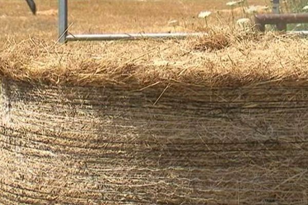 Des volontaires limousins préparent du foin pour l'envoyer dans les Hautes-Pyrénées.