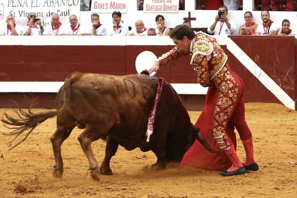 La "fausse" estocade de Ginés Marín à Dax.