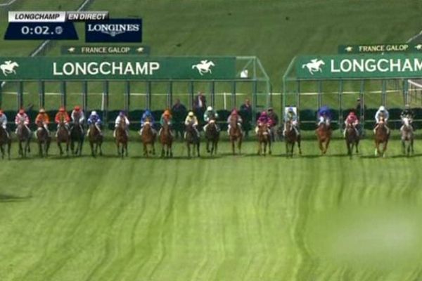 Le départ du "Prix de la Sauvegarde des Terres de Nonant-Le-Pin", ce samedi 22 septembre sur l'hippodrome de Longchamps 