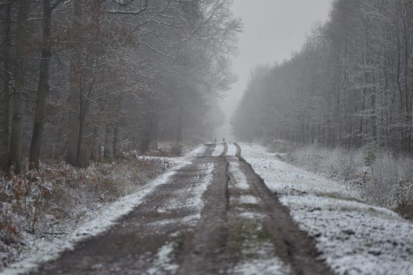 Neige à Denain