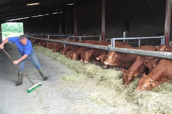 Le revenu moyen agricole en Limousin est le plus bas de France en 2014