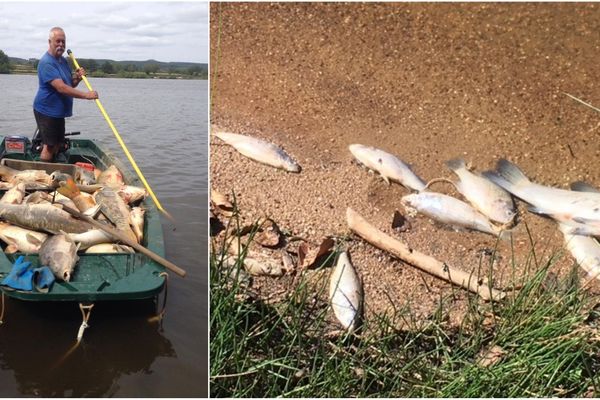 Jeudi, des milliers de poissons sont morts en quelques heures au lac du Rousset.