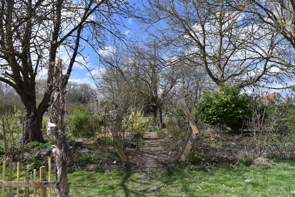 L'entrée du jardin forêt au mois d'avril