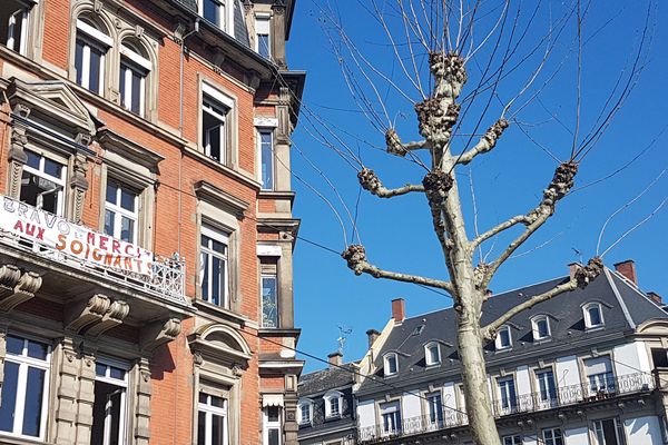 Le bleu l'emporte... Bravo et Merci aux soignants