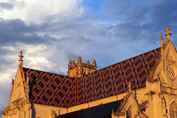 Le toit du Monastère royal de Brou, à Bourg-en-Bresse : les tuiles proviennent de la tuilerie Blache de Loire-sur-Rhône