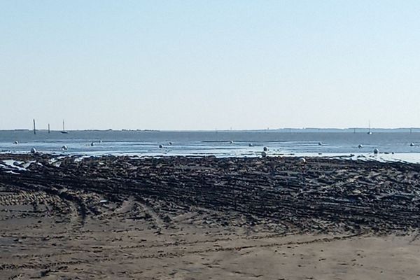 La zone de mouillages à Arès est particulièrement envasée, naturellement.