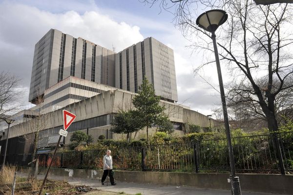 Carole Darmon est décédée des suites d'un accident vasculaire cérébral. Examinée à l'hôpital Bichat, rien n'avait été détecté.