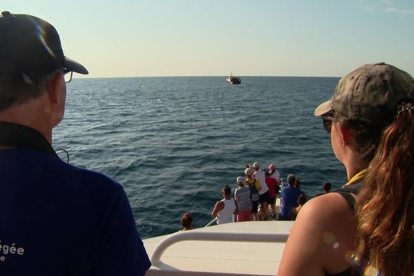 Renaud Dupuy de la Grandrive et Marine Lange (de gauche à droite) scrutent avec attention les dauphins de la côte.