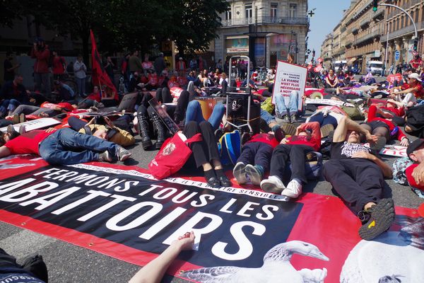 Les militants de L214 se sont donné rendez-vous à Toulouse, jardin Raymond VI à 10h30.