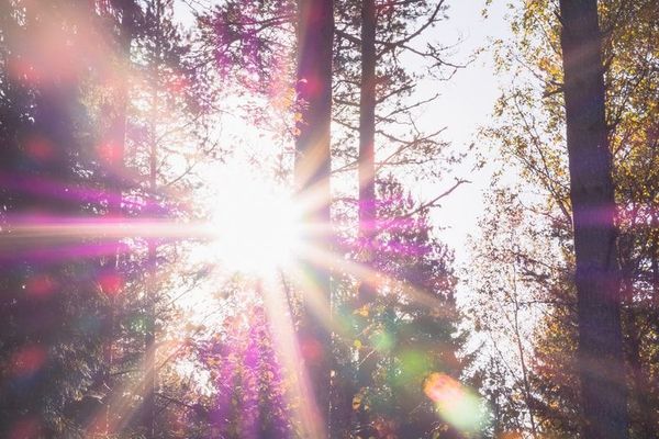 Le soleil revient dans une ambiance bien douce pour la saison