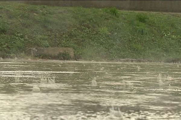 De nouveau la pluie ce mardi sur la Côte d'Azur.