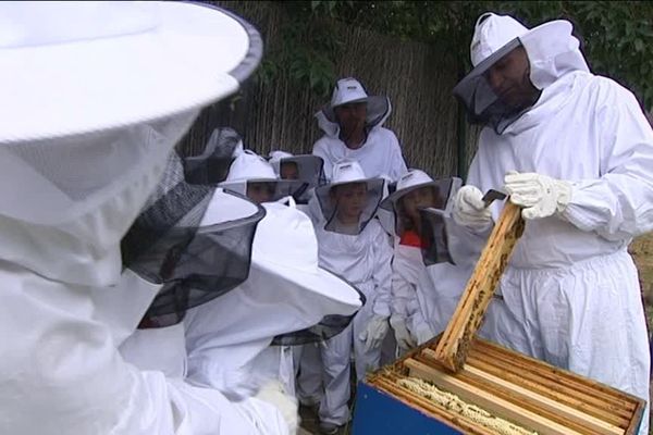 Pendant les "apidays" au zoo de Montpellier, les apiculteurs expliquent aux enfants les vertus de l'abeille, insecte indispensable aux humains