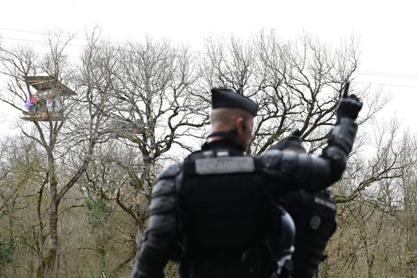 Les forces de l'ordre et unités de gendarmerie ont investi la ZAD des opposants au projet d'autoroute A69, entre Castres et Toulouse.