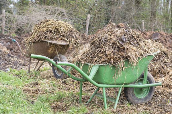 Jardinage fumier