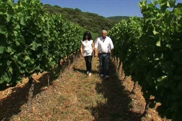 Yasmina et Fabrice : la belle histoire d'un couple devenu vigneron par amour du vin et des vignes à Montpeyroux, dans l'Hérault