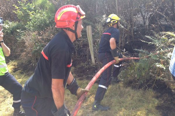 Les pompiers ont lutté près de 24 heures pour contenir un feu de prairie et de forêt à Arfeuilles (03)