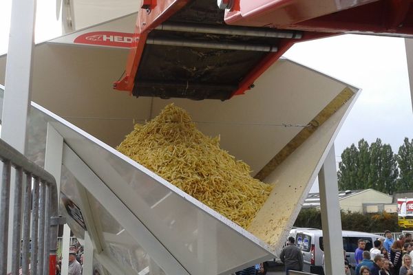 Ceci est désormais le plus grand cornet de frites du monde.