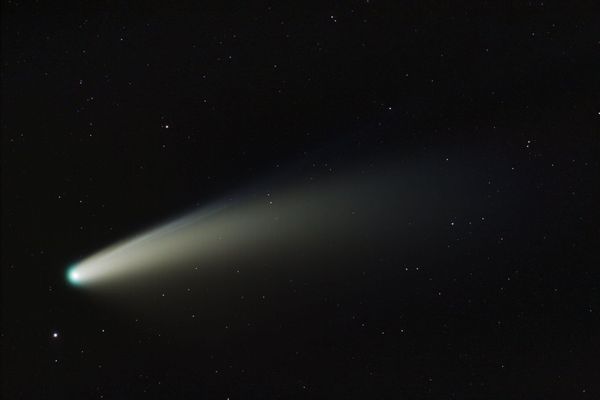 La queue de la comète, sublimée par l'action des rayons du soleil, a été particulièrement visible depuis la Terre en juillet 2020.