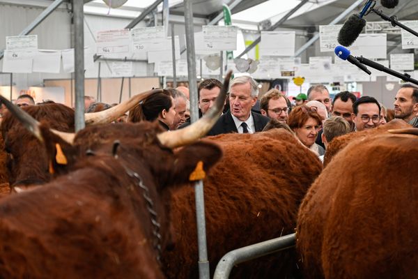 Le Premier ministre Michel Barnier était au Sommet de l'élevage ce vendredi 4 octobre.