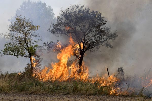 Plus de 400 hectares ont brûlé en 24 heures à Campénéac, dans la forêt de Brocéliande.