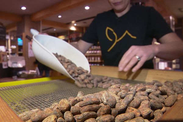 Au Shoukâ, à Chamonix (Haute-Savoie), le chocolat est travaillé de la fève jusqu'à la tablette.