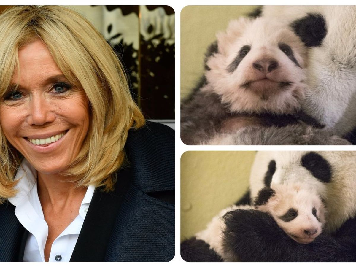 Mini Yuan Zi A Trois Mois Son Bapteme Est Prevu En Decembre En Presence De Brigitte Macron