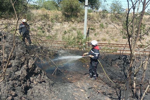 Les pompiers mobilisés sur l'incendie d'Argelès-sur-Mer.