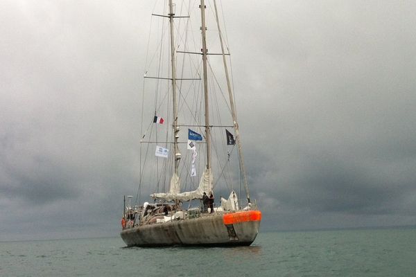 La goélette Tara au large de Lorient ce samedi 22/11/2014