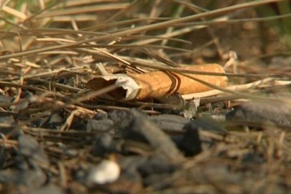 Le mégot jeté en forêt peut coûter 750 euros d'amende