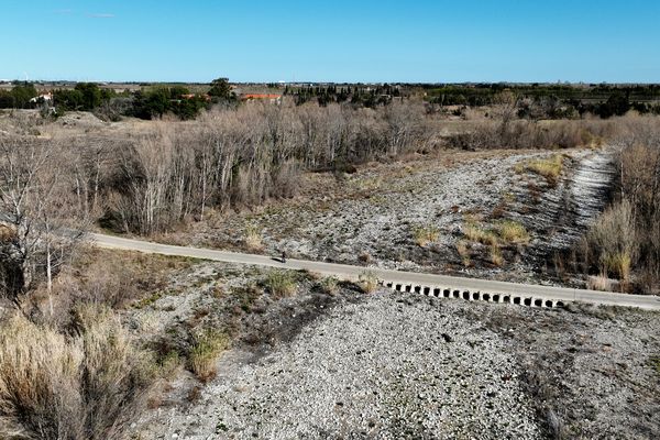 De la végétation inflammable a poussé sur le lit et les berges de l'Agly, à sec depuis 2021.