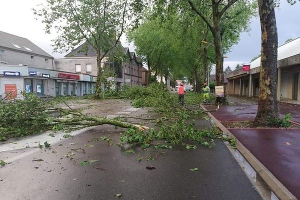 Plusieurs arbres ont été arrachés ou endommagés du fait de l'orage dans le secteur de Gray. 