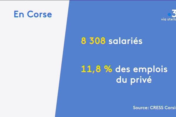 En Corse, l'économie sociale et solidaire est essentiellement implantée dans le secteur tertiaire et plus particulièrement les services. 