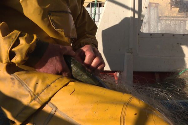 Pendant le confinement, les pêcheurs de Carro (13) ont été durement touchés