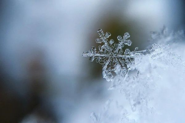 Le ciel est toujours bien nuageux et des flocons virevoltent 